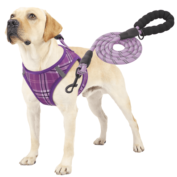 MoNiBloom No Pull Dog Harness with Leash, No Choke Reflective Pet Vest Adjustable Breathable Mesh Harnesses Dogs Walking, Purple XL