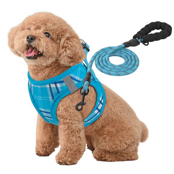 MoNiBloom No Pull Dog Harness with Leash, No Choke Reflective Pet Vest Adjustable Breathable Mesh Harnesses Dogs Walking, Sky Blue S