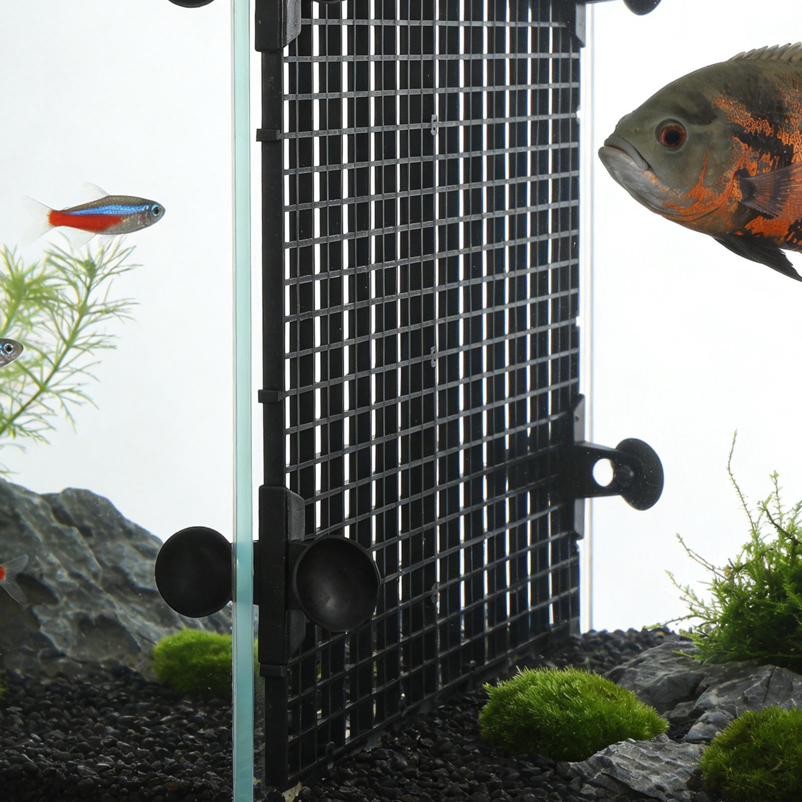 shakespeare ugly stik elite 7ft Tiger Spinning Rod Trout Plugs with tough Size:PGM80HM (8'0