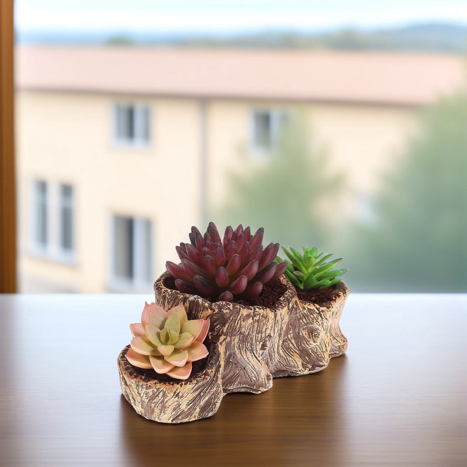 Rustic Rootrs Mobestech 2-Pack Rustic Tree Root Cement Decorative Gardening Pots for ...