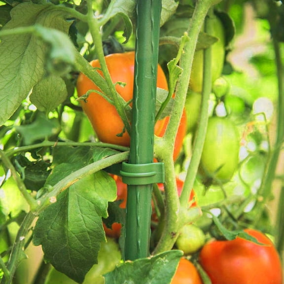 Mobestech 24Pcs Green Plastic Garden Cane Connectors for Climbing Vegetables and Plants