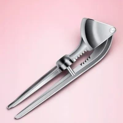 Mobestech 1Pc Plated Silver Garlic Press Machine Kitchen Gadget for Crushing Garlic and Ginger