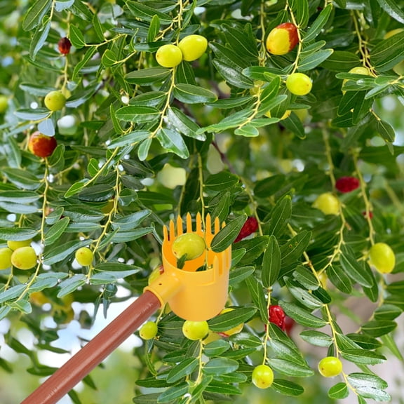 Mobestech Garden Fruit Picker with Claw Basket Head for Efficient Harvesting of Citrus Avocado Mango from Tall Trees