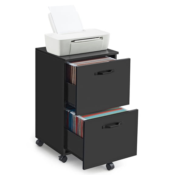 VASAGLE 2-Drawer File Cabinet, Small Rolling Filing Cabinet for Home Office, Printer Stand, for A4, Letter-Size Documents, 15.7 x 16.5 x 27.6 Inches, Black