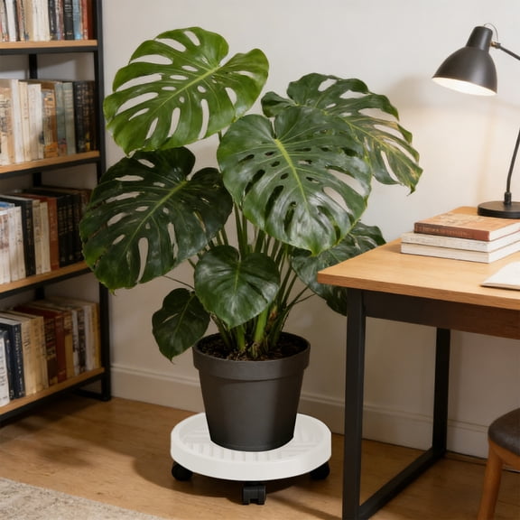 Mobile Plant Stand, Sturdy Plastic Flower Pot Tray, Modern Sleek Design, Easy Rolling Transport, Durable Construction, Space Saving, Large Capacity, Lightweight, Versatile Home Decor,