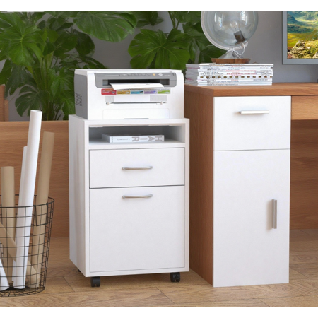Mobile Storage Cabinet Organizer