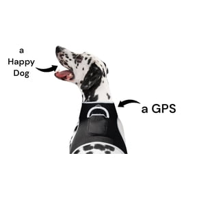 Mobile Tracking GPS GSM Pet Waterproof Rechargeable Locator Device NEW Size:XL
