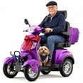 thumbnail image 1 of Mobility Scooter for Seniors & Adults,500lbs Capacity,Heavy Duty 4 Wheel Electric Scooter,800W Motor,31 Miles,Speed Adjustable,Full Accessories(Purple), 1 of 15