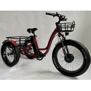 Mobility4less 750W 48V Hybrid Bicycle with Lithium Rechargeable Battery, Oversize Rear Cargo