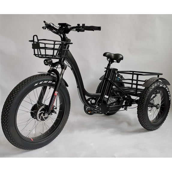 Mobility4less Adjustable Seat Eelectric Tricycle, Black