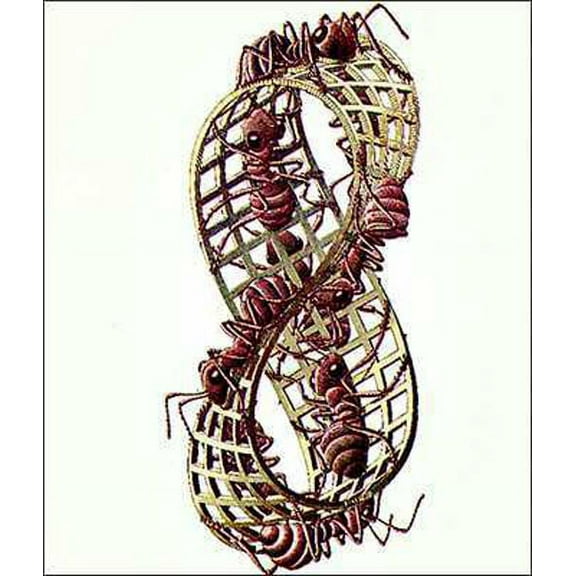 Mobius Strip Poster by M.C. Escher (22 x 26)