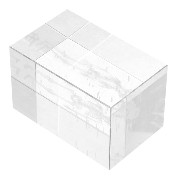 Mobutofu 3D Crystal Human Anatomy Model in Glass Cube with Intricate Engraving for Scientific Decoration