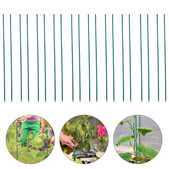 Mobutofu 50-Pack Craft Stems, 15.72 Inch Floral Arrangement Poles for Flower Design and Projects