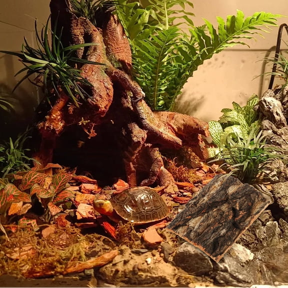 Mobutofu 5Pcs Reptile Cork Bark Hide Natural Tree Bark Panel for Climbing and Habitat Decoration