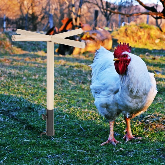 Mobutofu Multi-Colored Chicken Roost Perch for Poultry, 1 Pack - Entertainment and Resting Spot