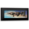 thumbnail image 1 of Mock, Carolyn 14x7 Black Modern Framed Museum Art Print Titled - Ascent, 1 of 5