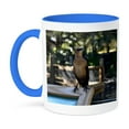 thumbnail image 1 of 3dRose, Mockingbird on wooden sign Florida bird, 15oz Two-Tone Blue Mug, 1 of 3
