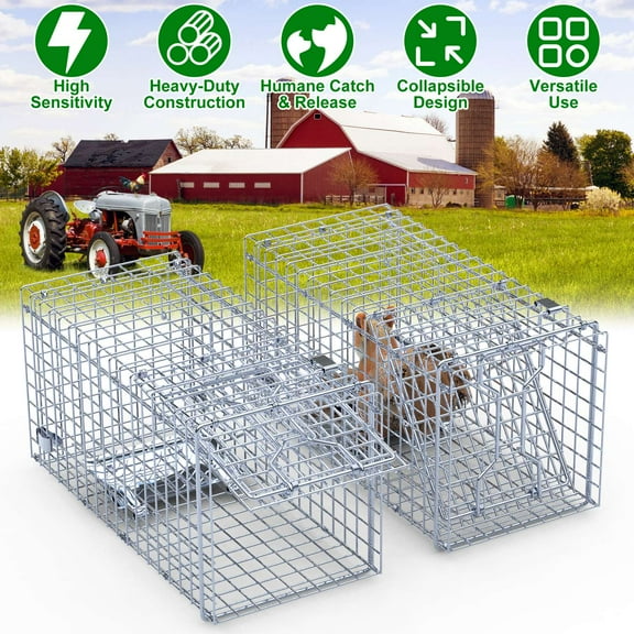 Moclever 2Pcs Single Door Live Animal Trap, Galvanized Iron Collapsible Humane Trap Cage Catch and Release for Small Squirrel Raccoon Feral Cat Weasel, 18x8x10in