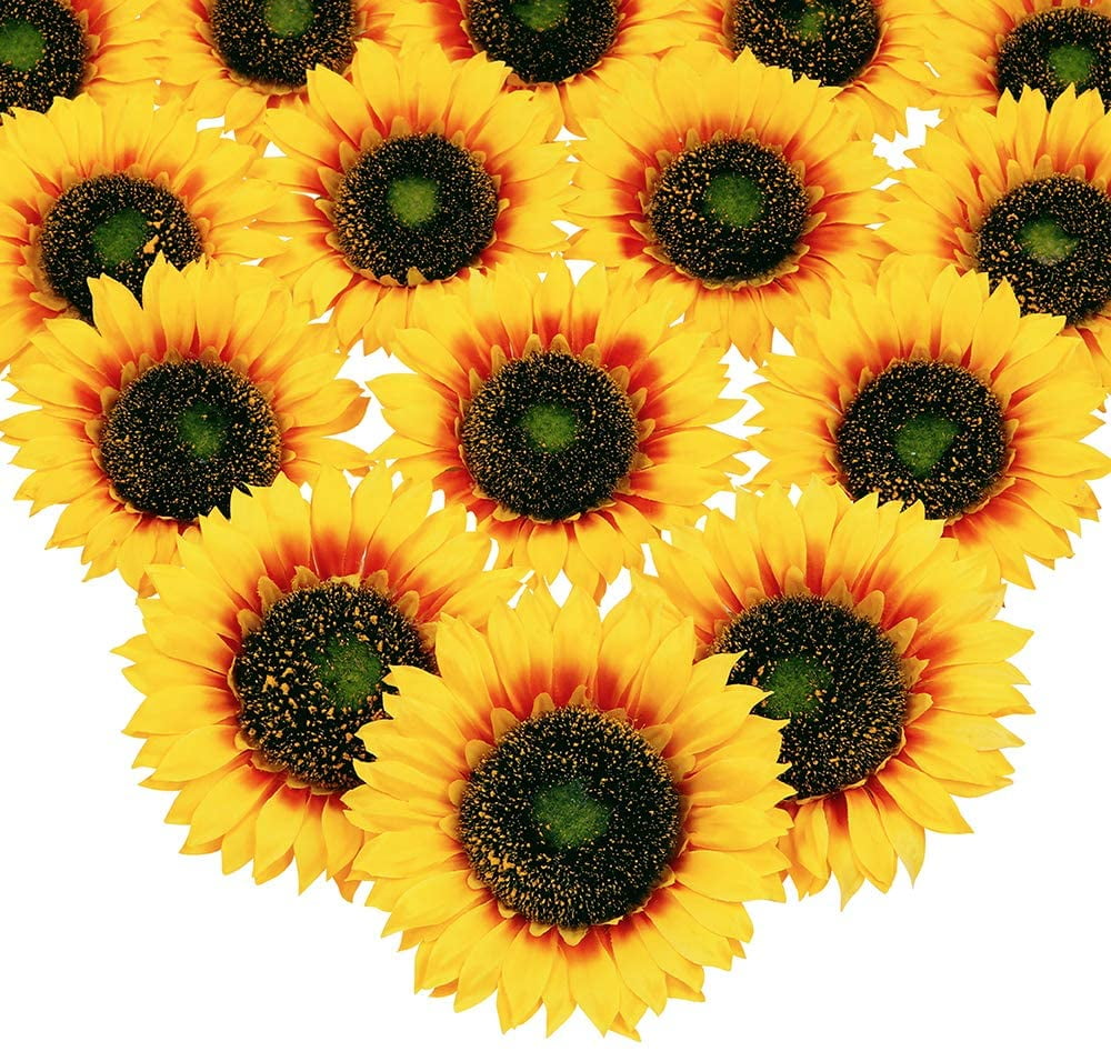 Mocoosy 16 Pcs 5.5 Inch Large Artificial Sunflower Heads, Fake