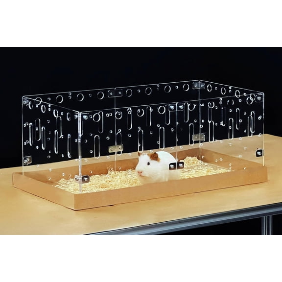 Model-C2 Small Animal Cage 2x1 Ft For Single Guinea Pigs