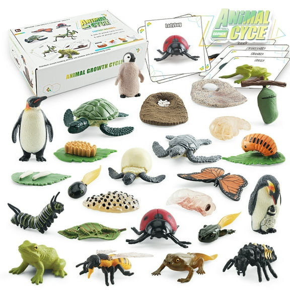 Model,Education Montessori 3 Science Bee Turtle Craft Kit Model Craft Ideal 3 Cometx Lanru Of 25pcs Model Kit 25pcs Model Animal Of Chicken Bee Kit 3 Model Toddler Education Animal
