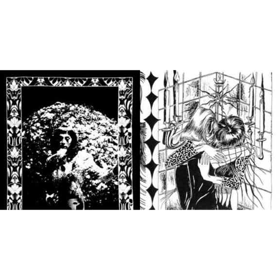 Model Express & What's Tonight To Eternity [LP Vinyl Bundle]