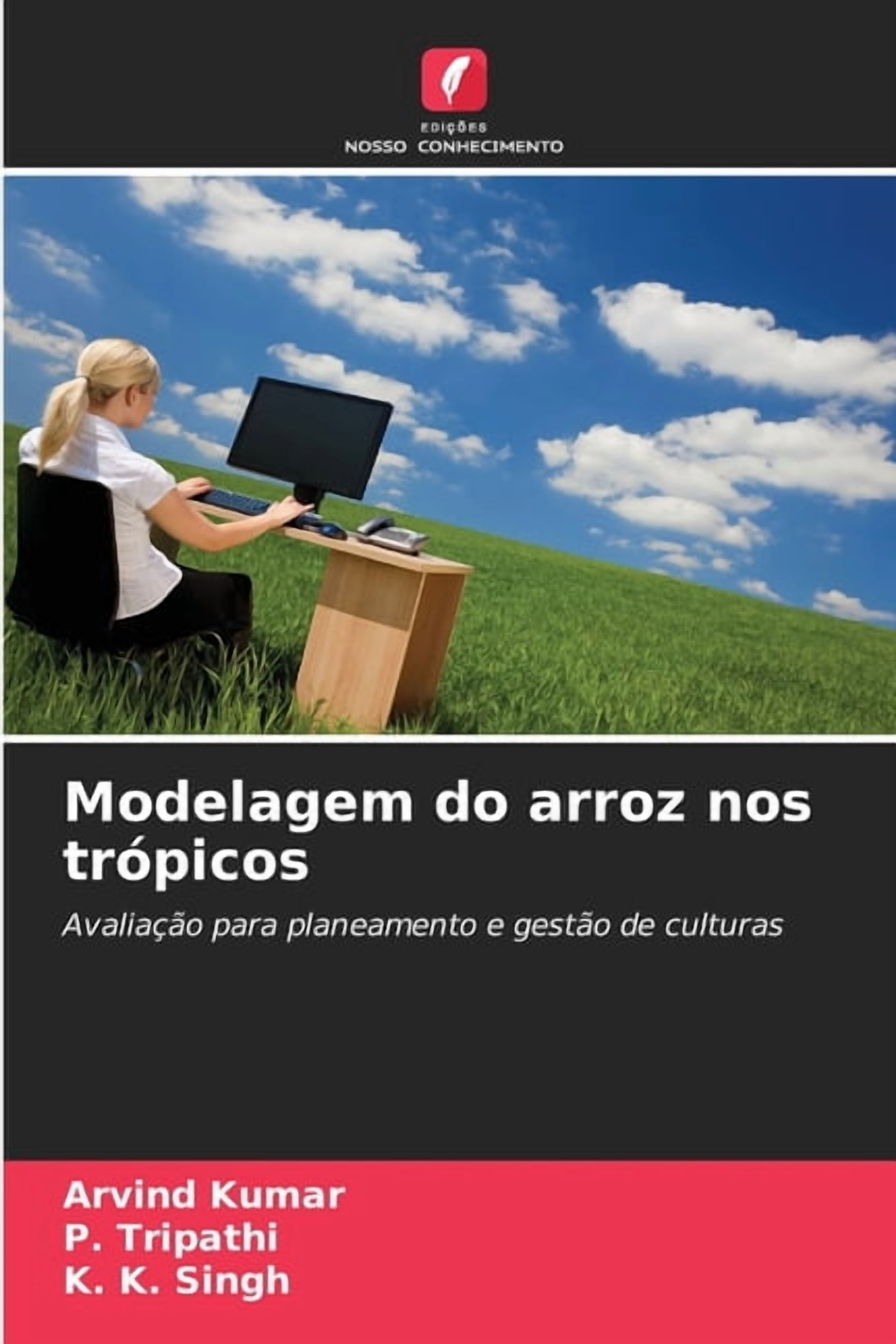 Modelagem do arroz nos trópicos, (Paperback)