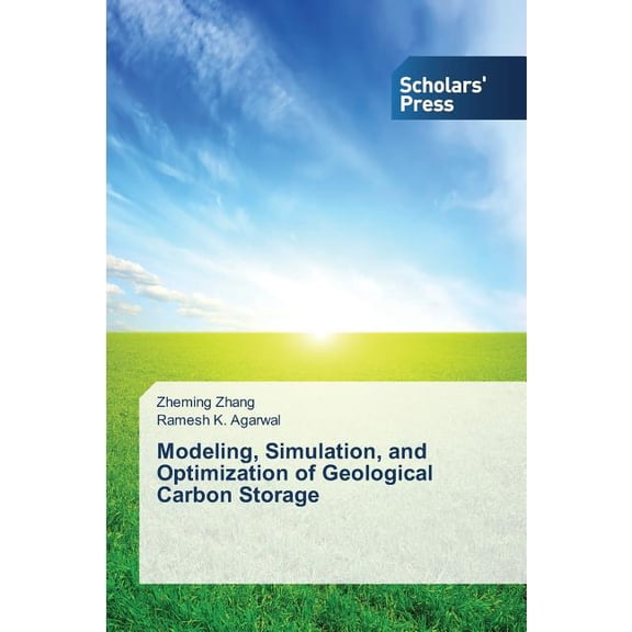 Modeling, Simulation, and Optimization of Geological Carbon Storage (Paperback)