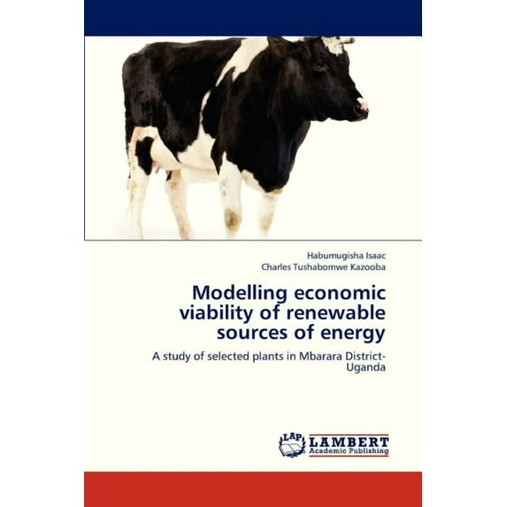 Modelling Economic Viability of Renewable Sources of Energy (Paperback)
