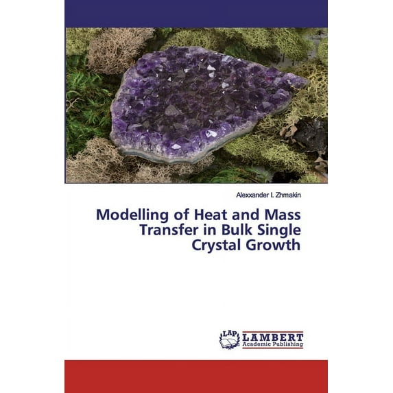 Modelling of Heat and Mass Transfer in Bulk Single Crystal Growth (Paperback)