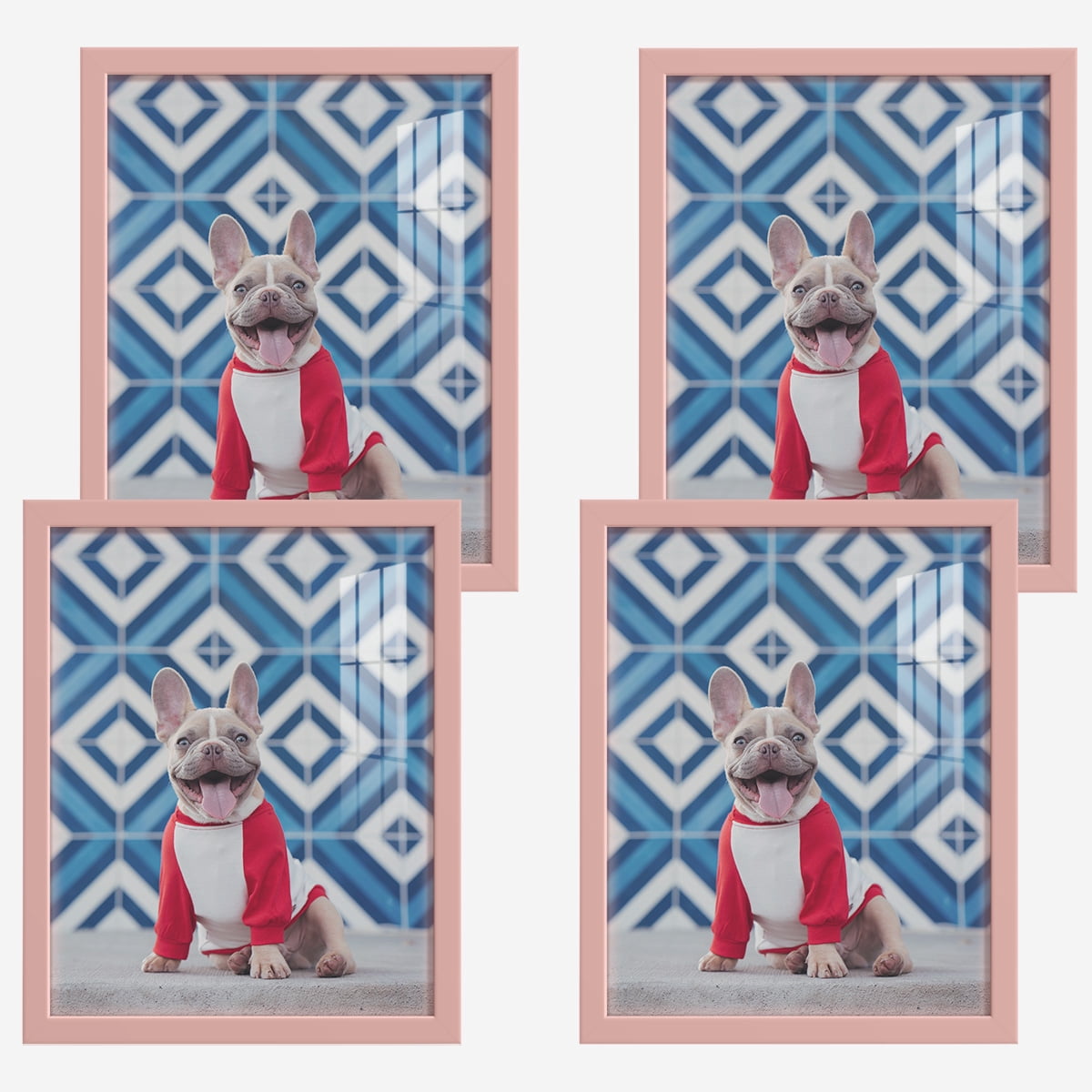 Modern 11 in. x 14 in. Pink Picture Frame (Set of 4)