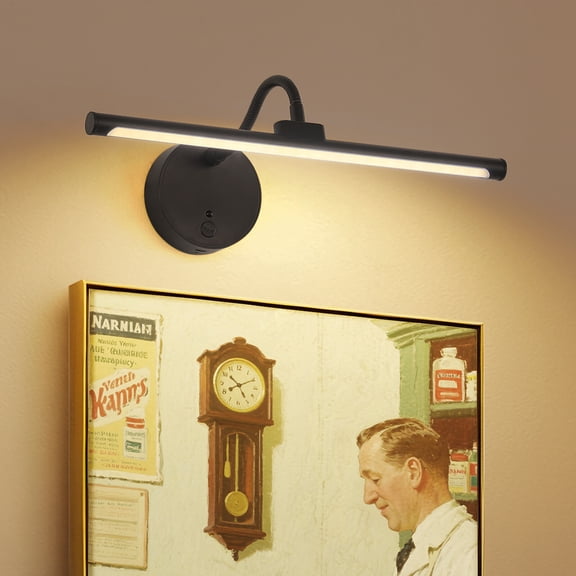 Modern 13.4 in. LED Picture Light Black Finish with Rechargeable Battery Remote Control 3CCT Adjustable Rotating Arm