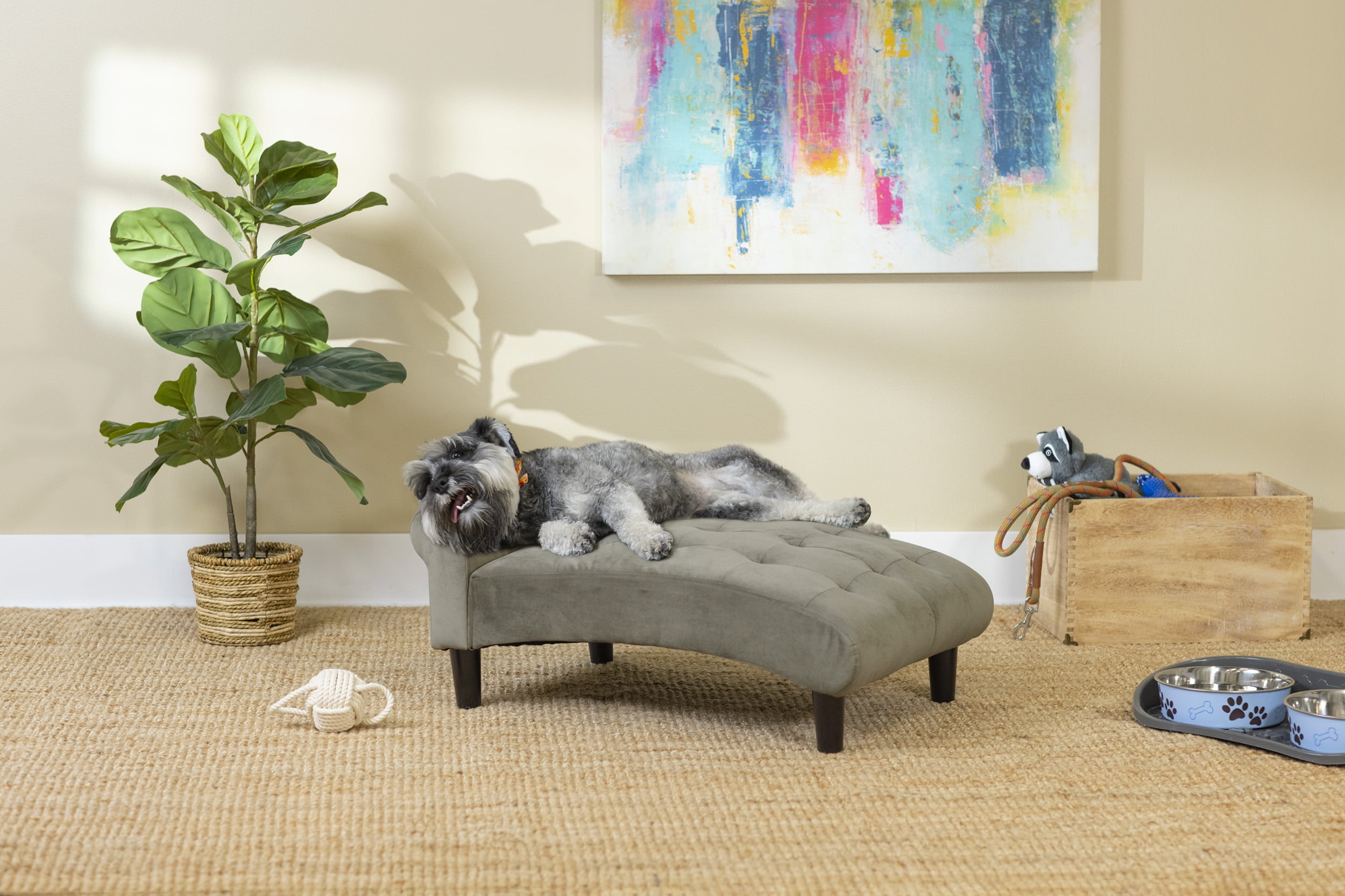 Modern 21" Wide Pet Chaise Lounge for Small to Medium Dog or Cat
