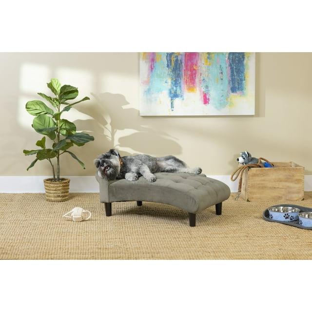 Modern 21" Wide Pet Chaise Lounge for Small to Medium Dog or Cat