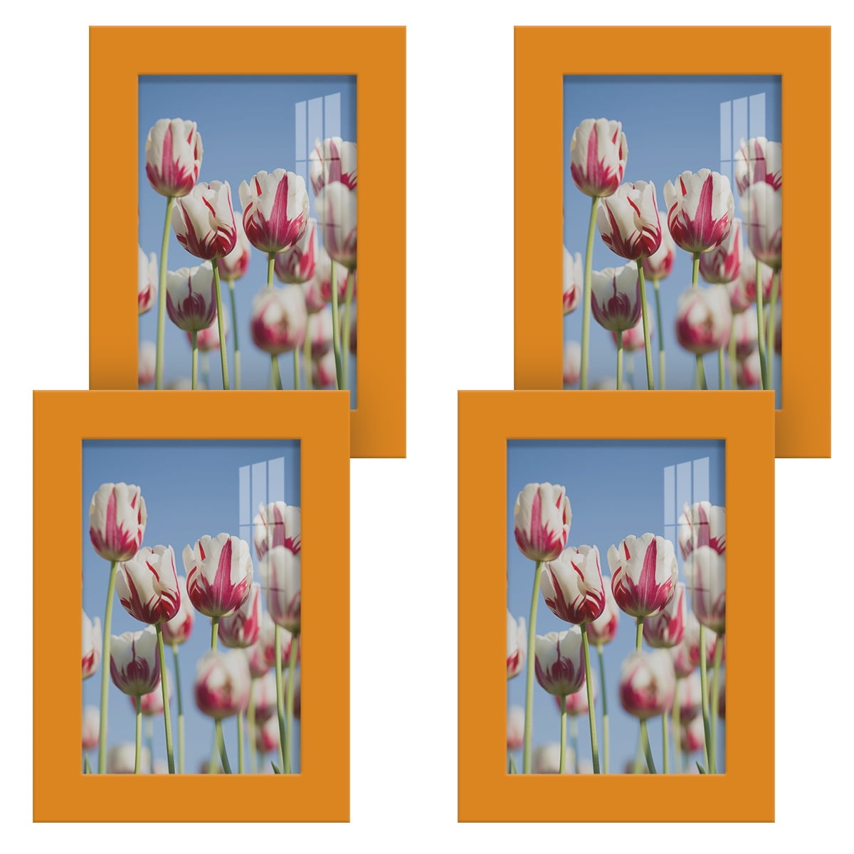 Modern 4 in. x 6 in. Orange Picture Frame (Set of 4)