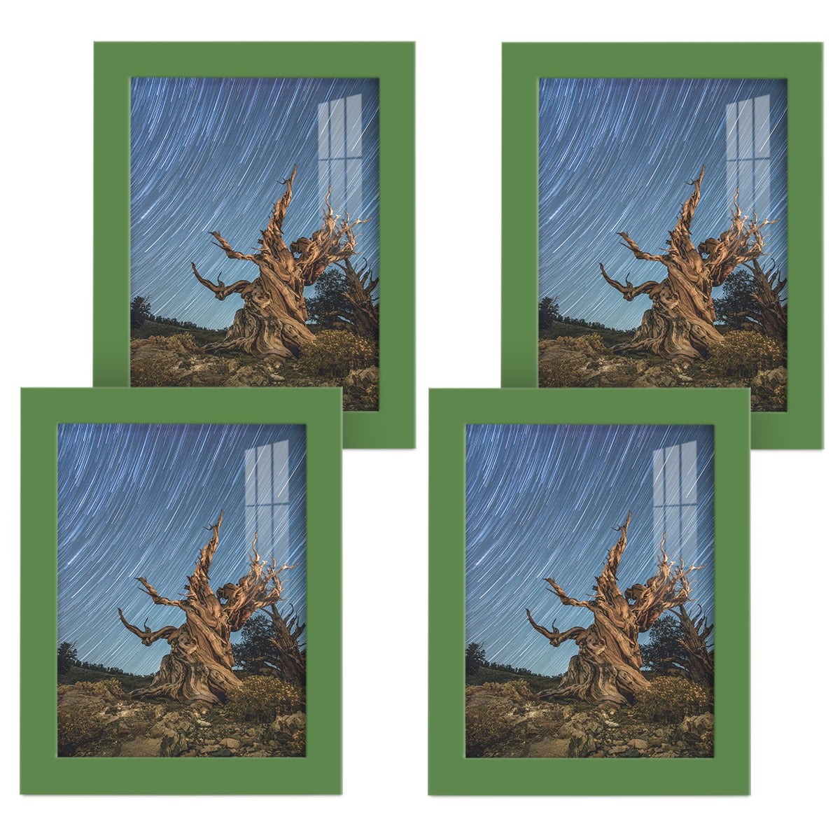 Modern 6 in. x 8 in. Green Picture Frame (Set of 4)