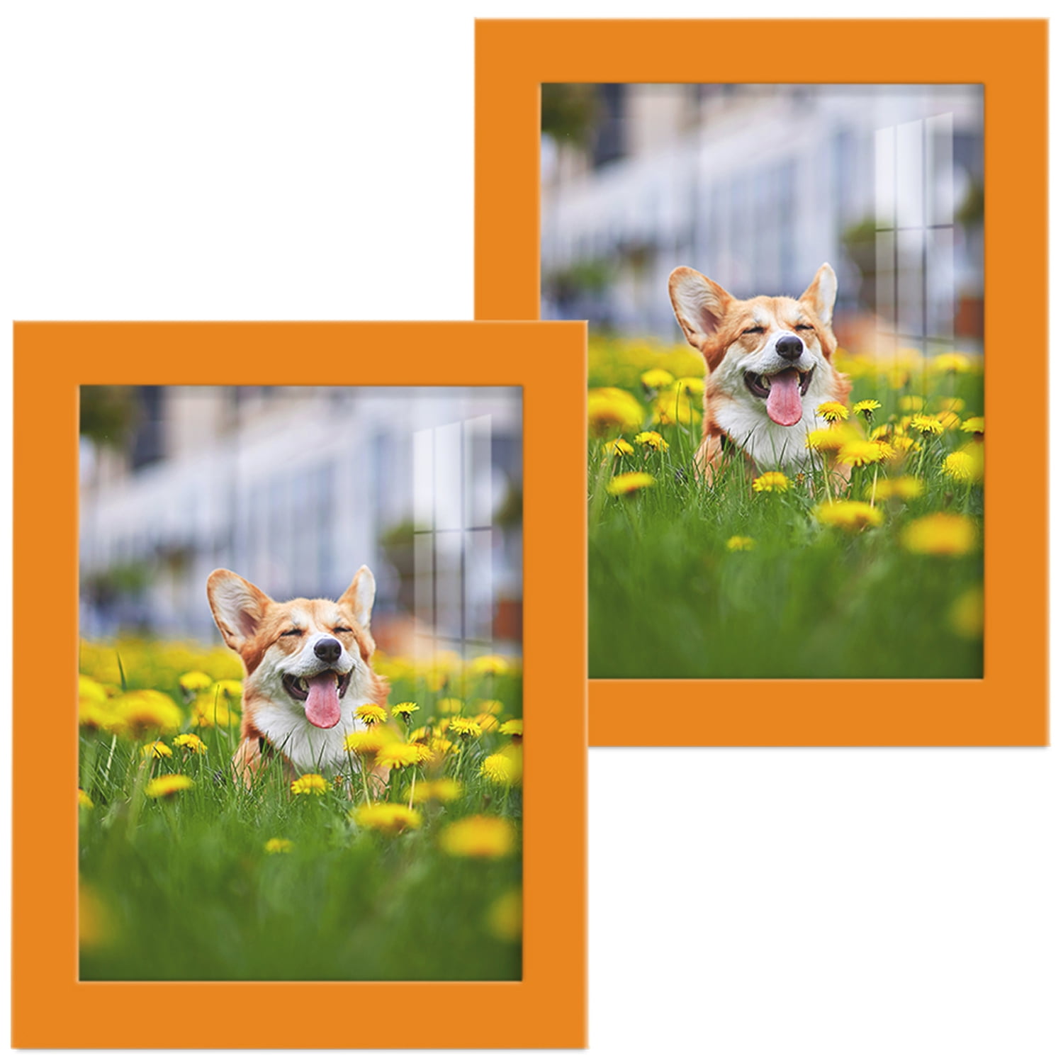 Modern 6 in. x 8 in. Orange Picture Frame (Set of 2)
