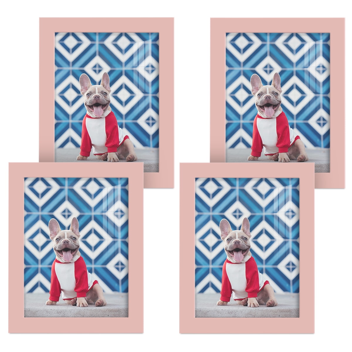 Modern 6 in. x 8 in. Pink Picture Frame (Set of 4)