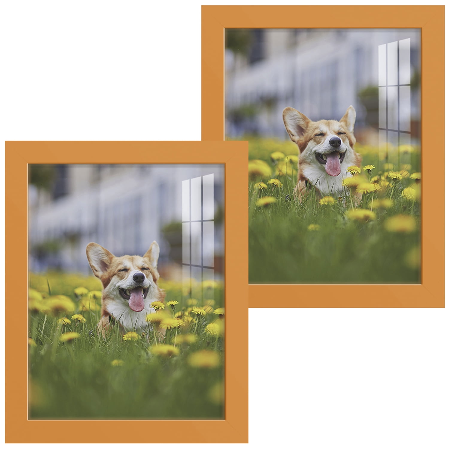 Modern 8 in. x 10 in. Orange Picture Frame (Set of 2)