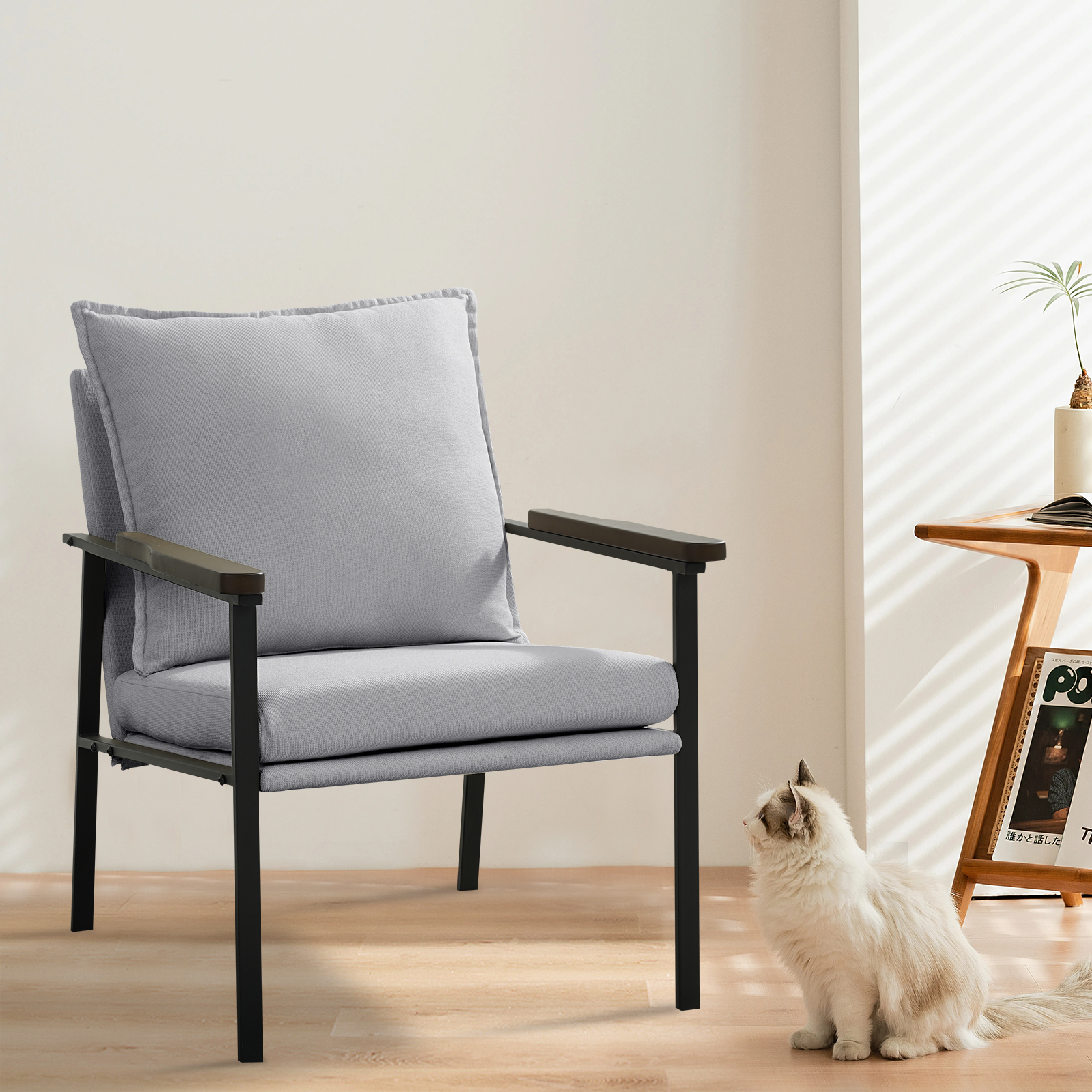 Modern Accent Chairs, Living Room Chairs, Fabric Armchairs with Metal