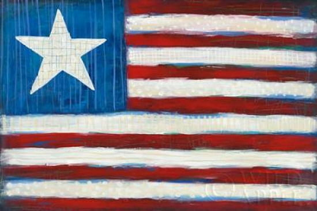Modern Americana Flag Canvas Art - Melissa Averinos (12 x 18)