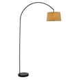 thumbnail image 1 of Modern Arching Floor Lamp, 1 of 1
