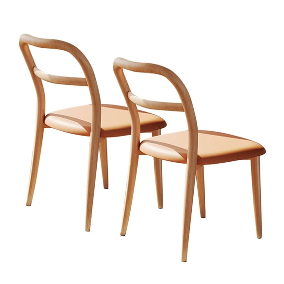 Modern Back Chair Dining Chairs for Kitchen Restaurant Cafe,Set Of 2 Leisure Living Room Corner Chairs Metal Frame,Study Room Office Chair No Arm