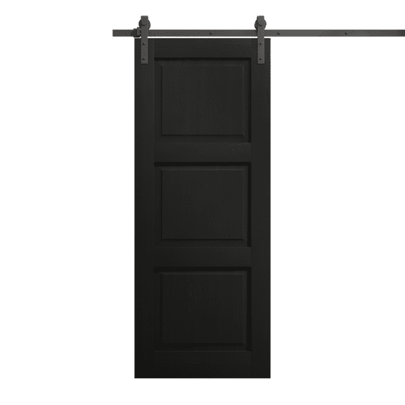 Modern Barn Door 24 x 80 inches | Ego 5010 Painted Black Oak | 6.6FT Rail Track Heavy Hardware Set | Solid Panel Interior Doors