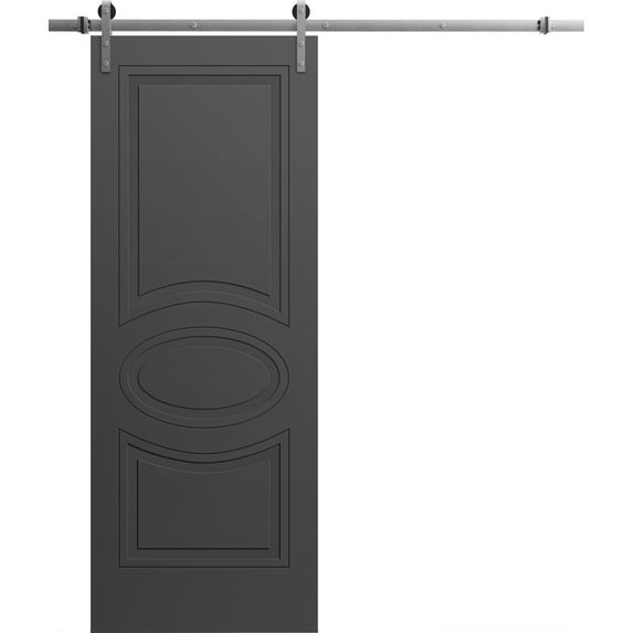 Modern Barn Door 24" x 96" inches / Mela 7001 Painted Black / 6.6FT Silver Rail Track Heavy Hardware Set / Solid Panel Interior Doors