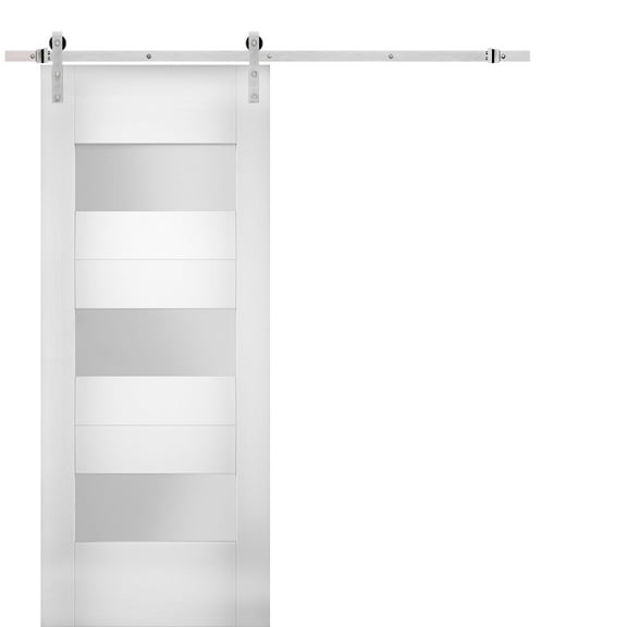 Modern Barn Door 28 x 80 inches Opaque Glass / Sete 6003 White Silk / Stainless Steel 6.6FT Rail Track Set / Solid Panel Interior Doors