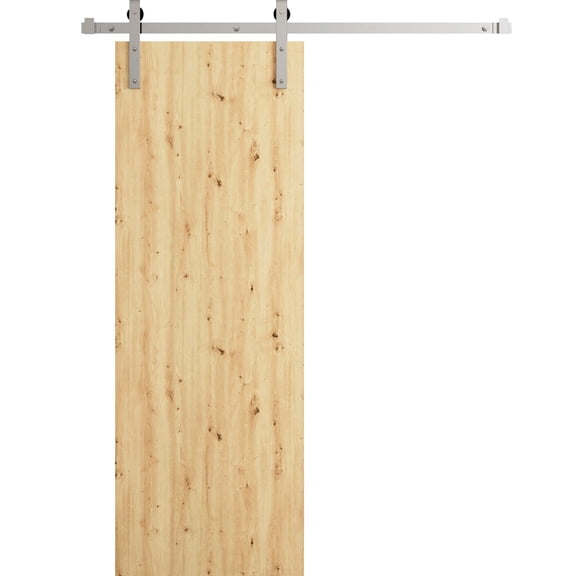Modern Barn Door 30 x 80 in - LUNO 1003 Caramel Oak - 6.6FT Silver Rail Track Heavy Hardware Set - Solid Panel Interior Doors