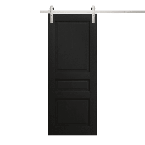 Modern Barn Door 30 x 80 inches | Ego 5012 Painted Black Oak | 6.6FT Silver Rail Track Heavy Hardware Set | Solid Panel Interior Doors