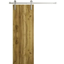 Modern Barn Door 36 x 80 in - LUNO 1003 Antique Oak - 6.6FT Silver Rail Track Heavy Hardware Set - Solid Panel Interior Doors