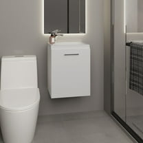 Bathroom Vanity with Sink, 1 Door